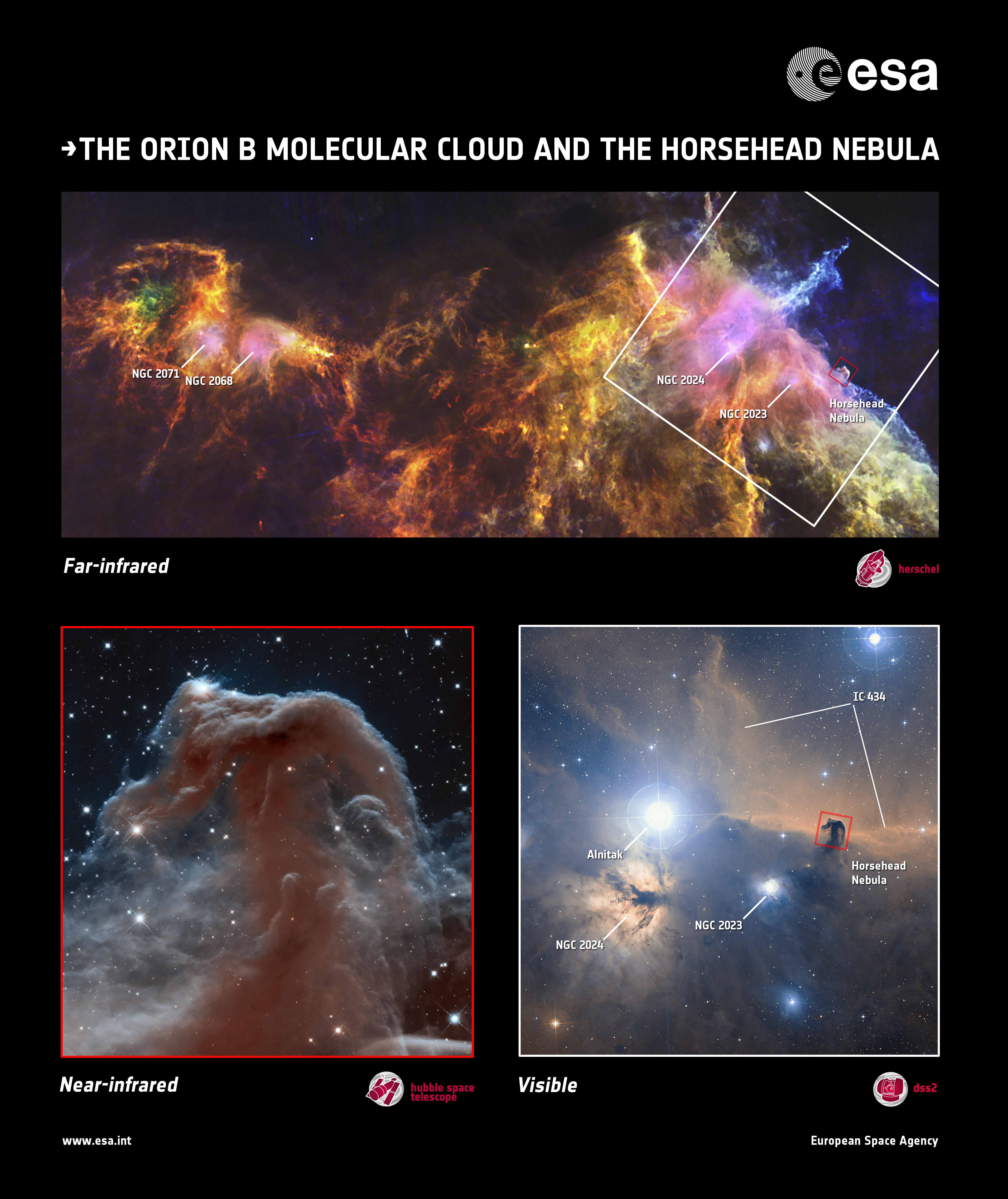 nebula visible with telescope