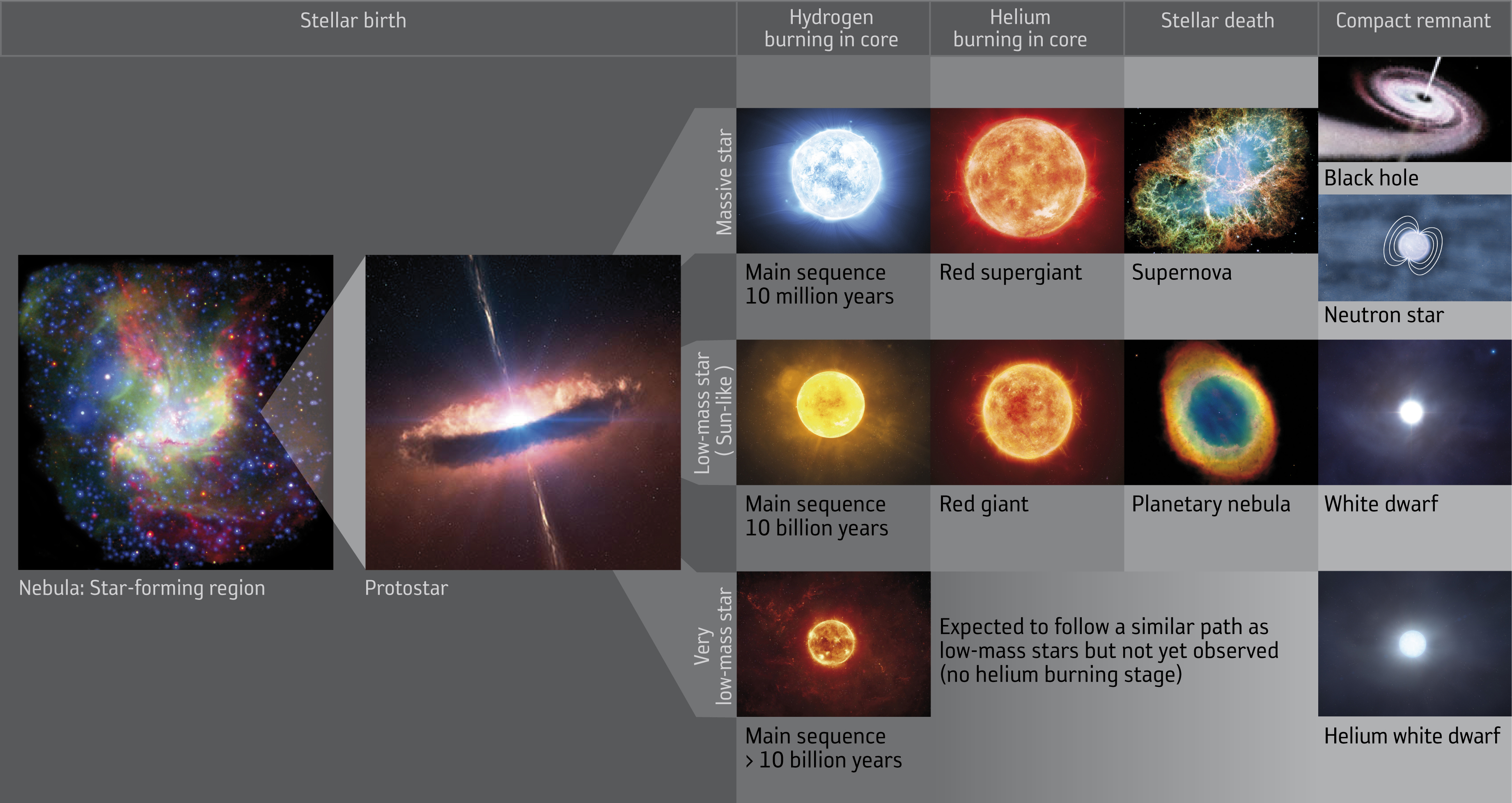 life cycle of a sun like star